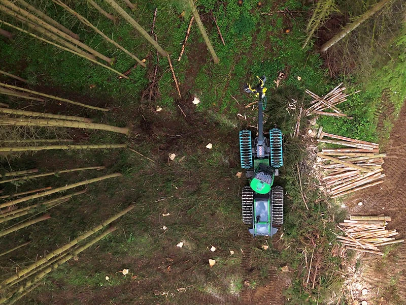 lignum forst harvester thüringer wald