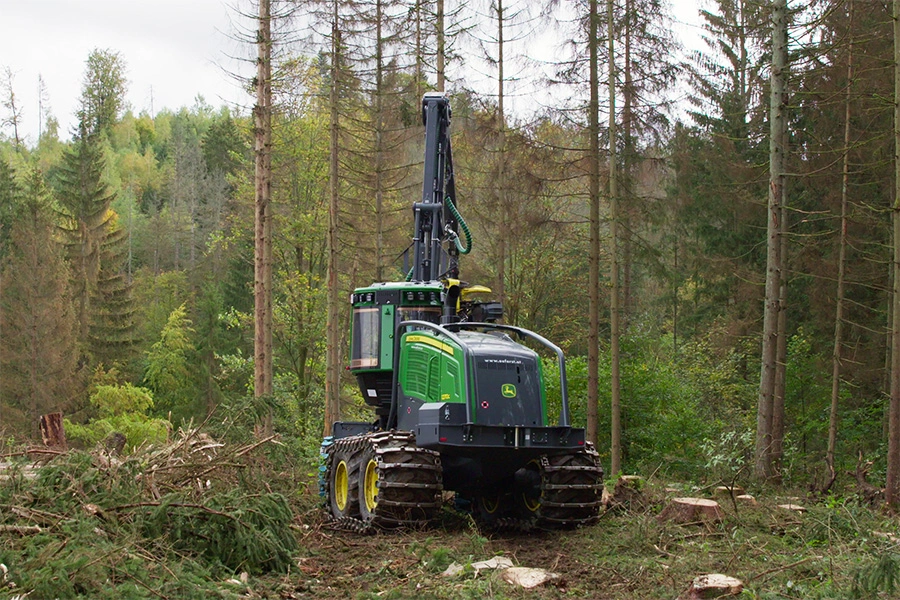 kulturpflege-und-durchforstung-für-gesunden-und-stabilen-wald