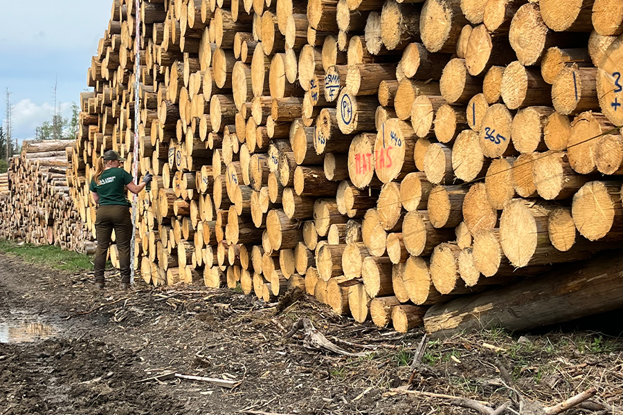 bestes-ergebnis-durch-holzhandel-mit-lignum-forst