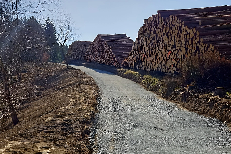 instandgesetzter-weg-von-lignum-forst